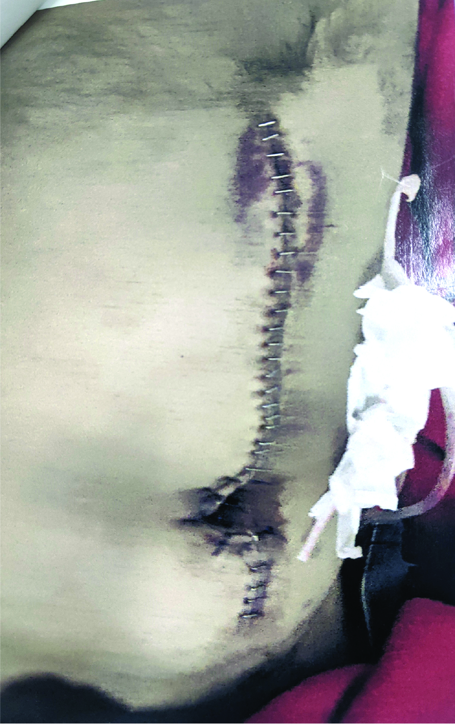 Memory Image