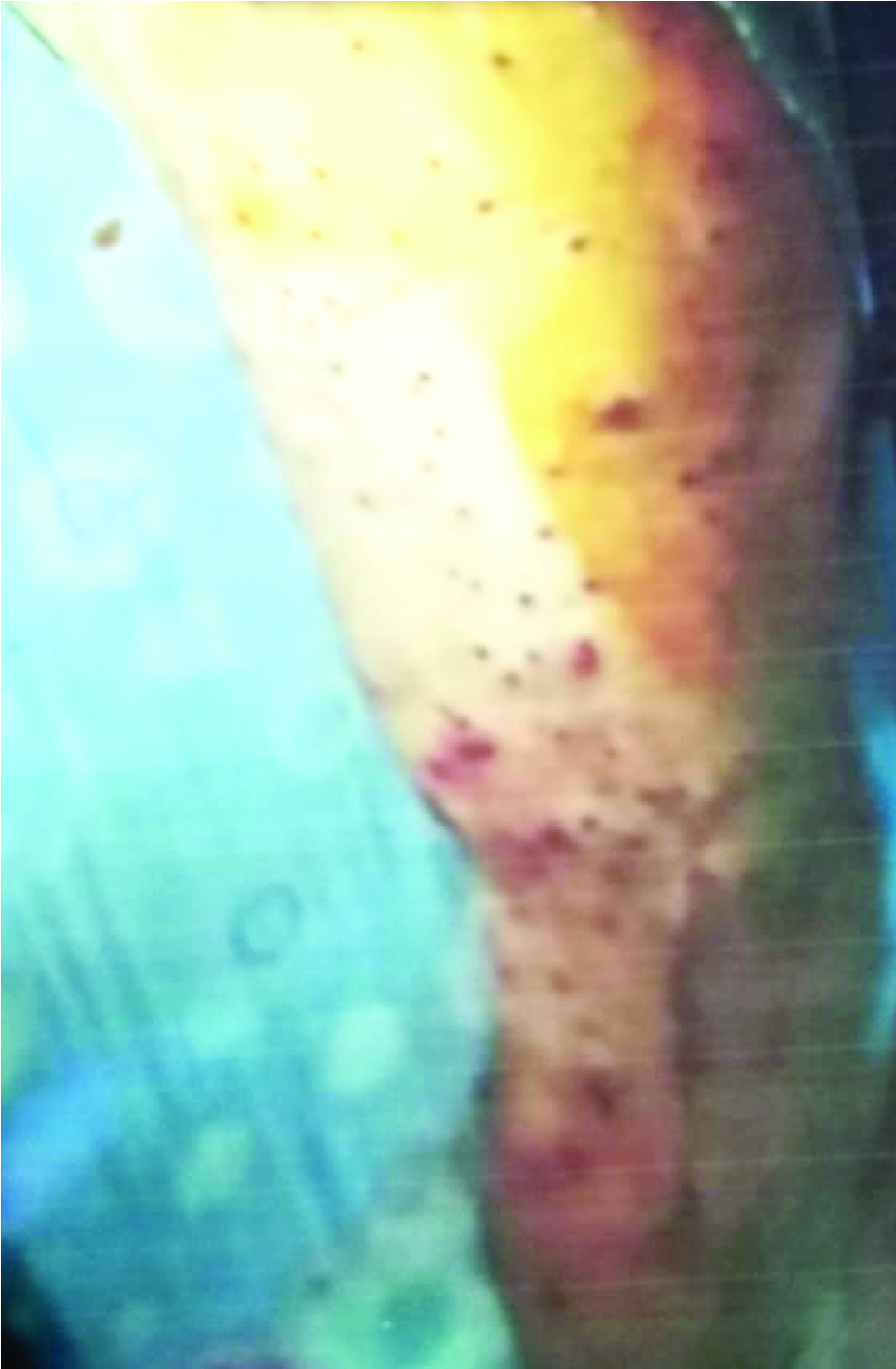 Memory Image