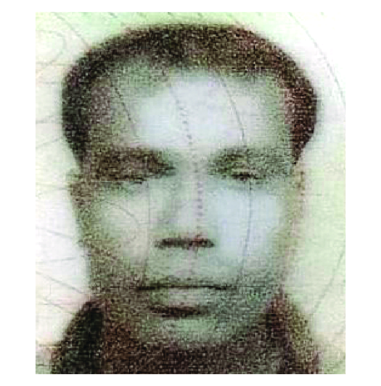 মো. ওয়াজেদ আলি শেখ
