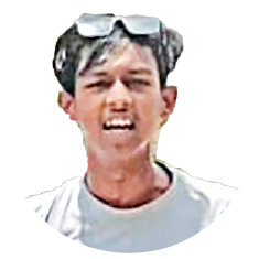 মো: পলাশ আহমেদ