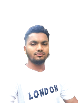 রবিউল ইসলাম 