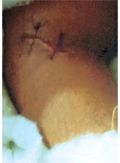 Memory Image