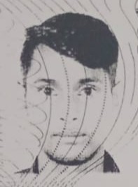 মো: আল মামুন মোল্লা