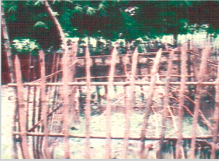 Memory Image
