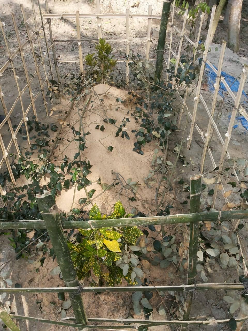 Memory Image