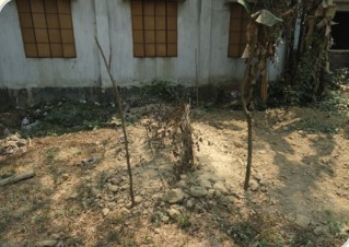 Memory Image