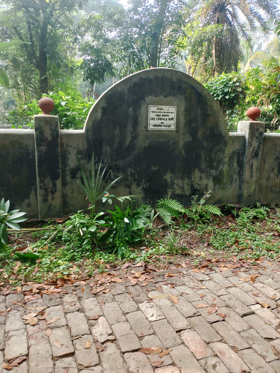 Memory Image