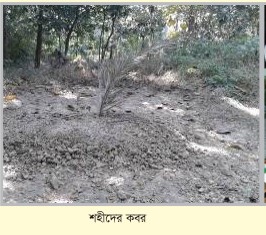 Memory Image