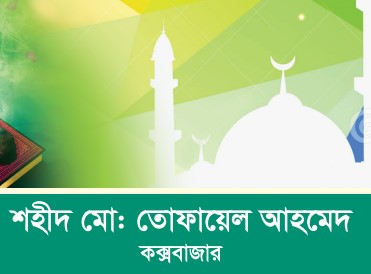 শহীদ মো: তোফায়েল আহমেদ