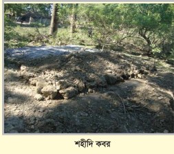 Memory Image