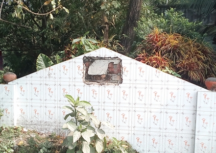 Memory Image