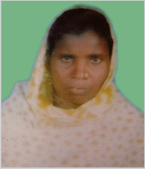 শহীদা মোছা: আরজেনা বেগম