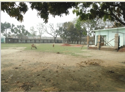 Memory Image