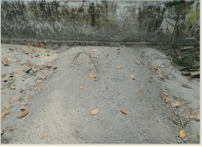 Memory Image