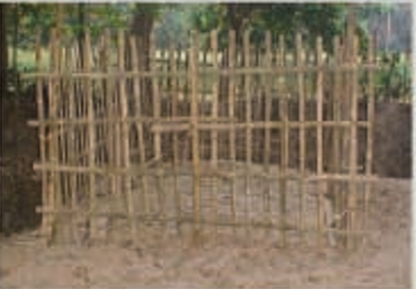 Memory Image